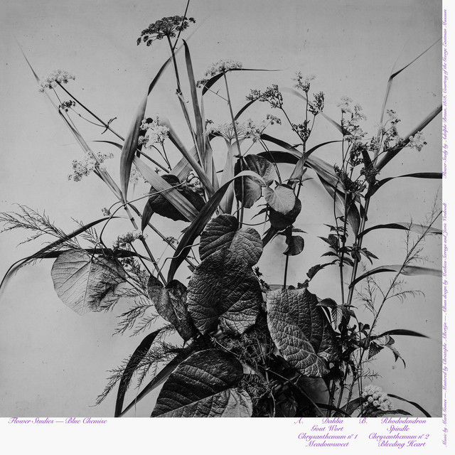 Flower Studies cover art