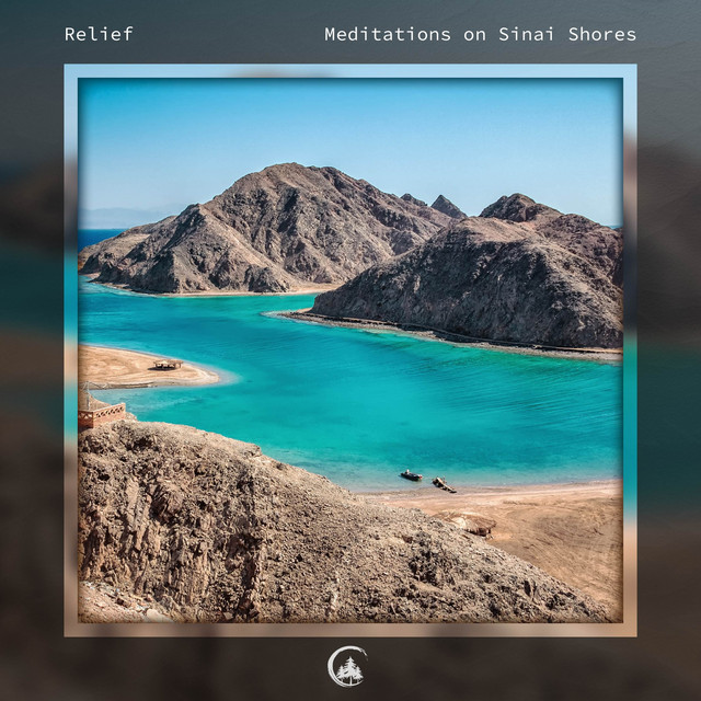 Meditations on Sinai Shores