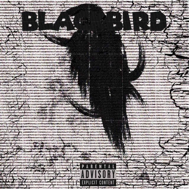 BLACK BIRD