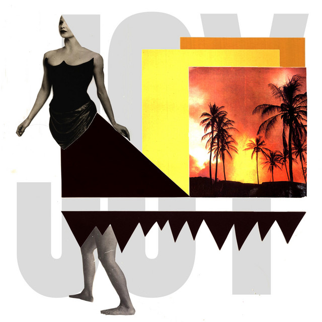 Joy cover