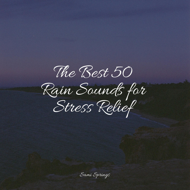 The Best 50 Rain Sounds for Stress Relief - Album by Deep Sleep FX ...