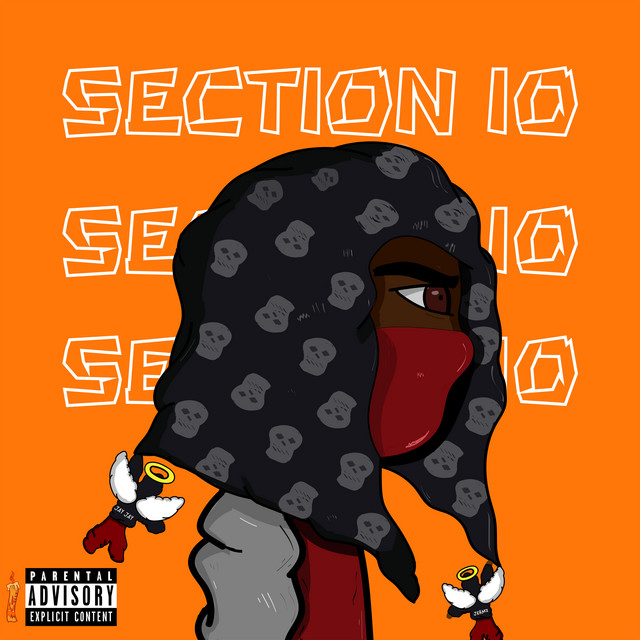Section 10 cover art