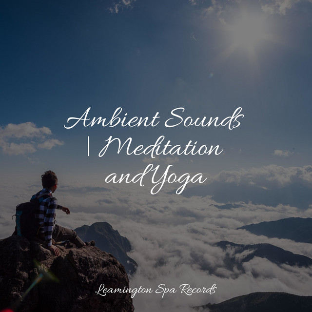 Ambient Sounds | Meditation and Yoga - Album by Nature Sounds | Spotify