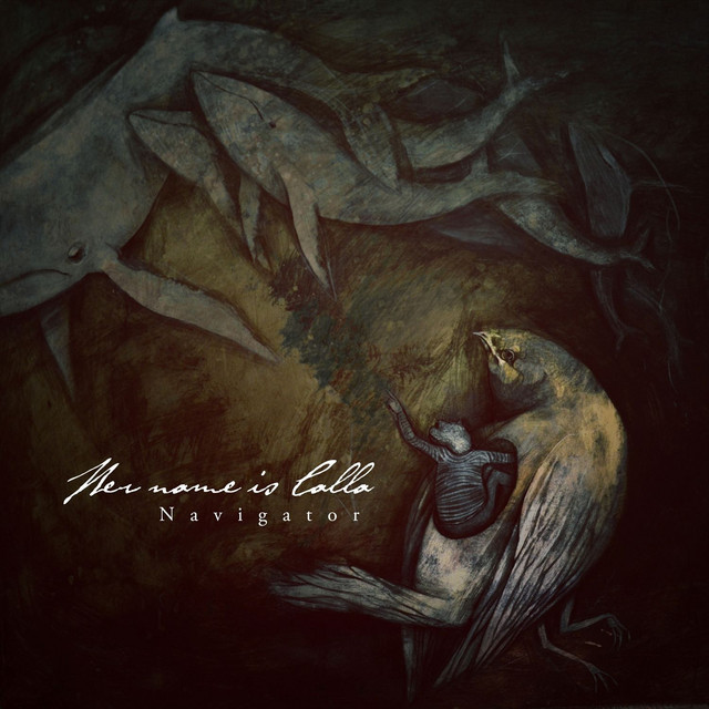 Navigator cover art
