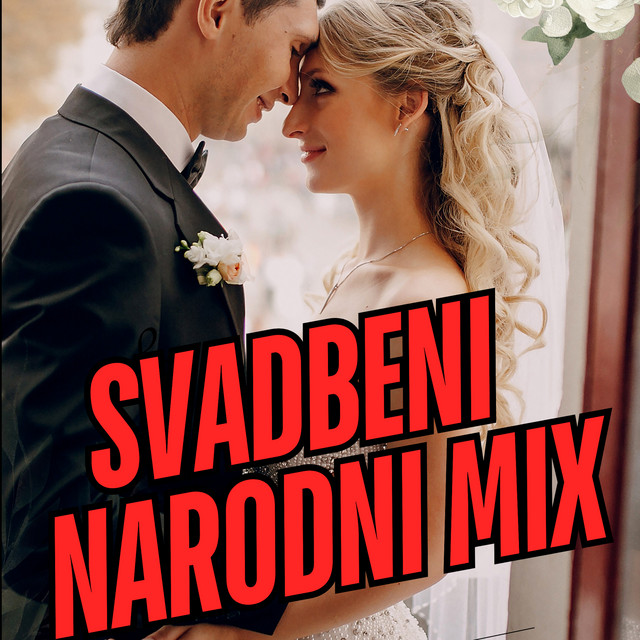 Branili su nasu ljubav - Live - song and lyrics by Sladjana Ristic ...