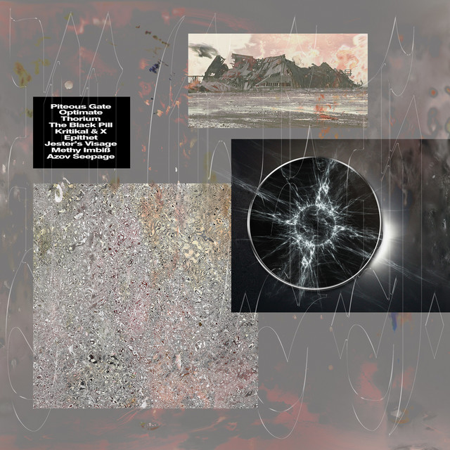 Piteous Gate cover art