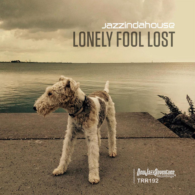 Lonely Fool Lost - Single by Jazzindahouse | Spotify