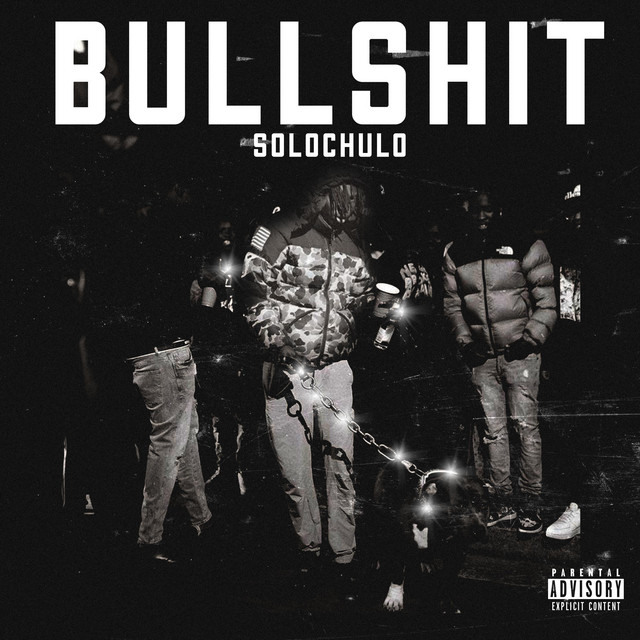 Bullshit cover art