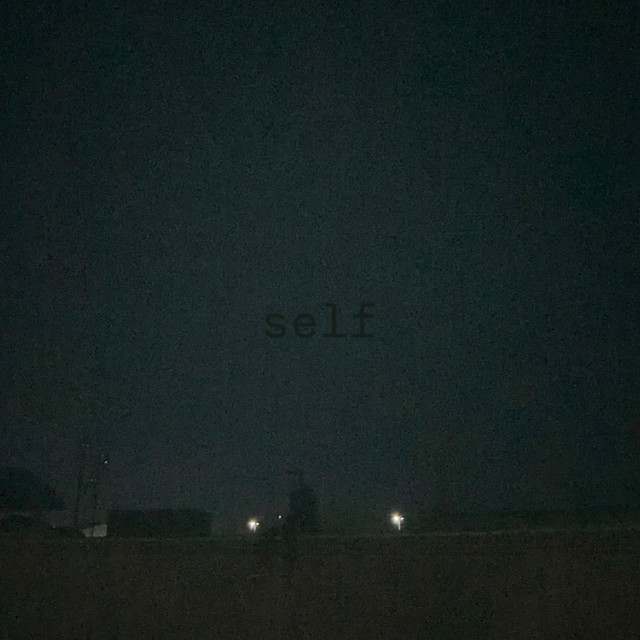 self cover art