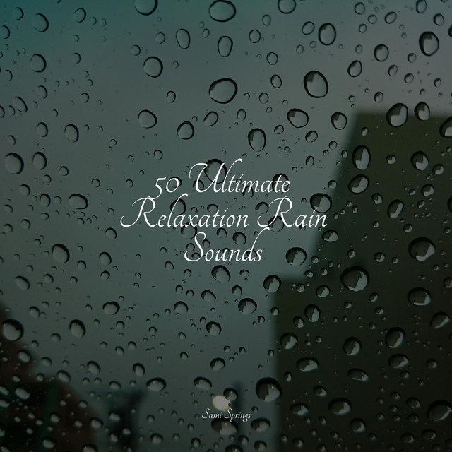 50 Natural Rain Sounds - Album by Sleeping Music | Spotify