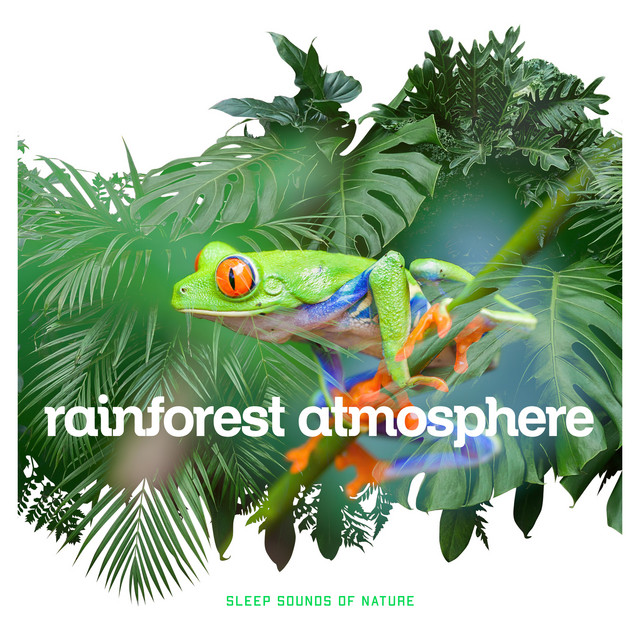 Rainforest Atmosphere - Album by Sleep Sounds of Nature | Spotify