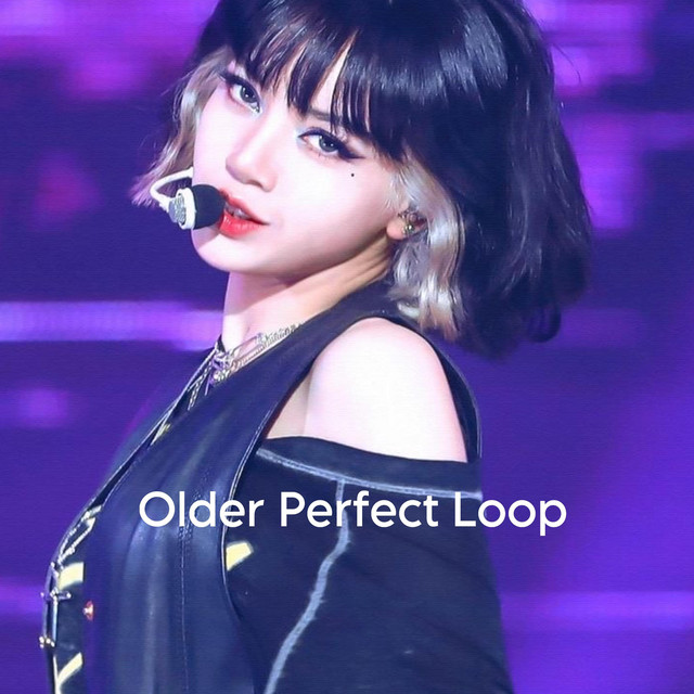 Older Perfect Loop cover art