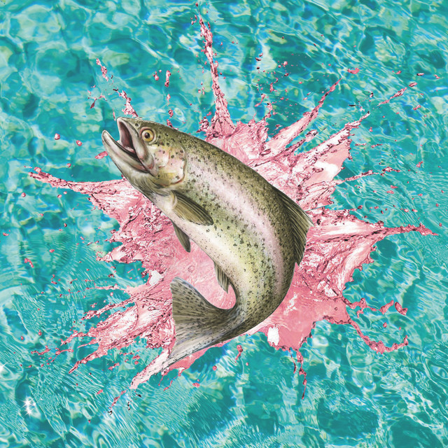 Bisexual Random Trout cover