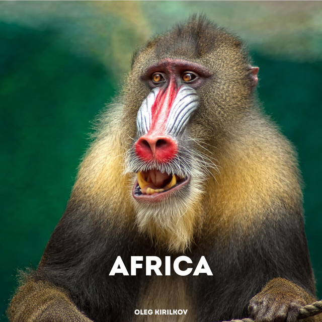 Обкладинка: Africa — Oleg Kirilkov