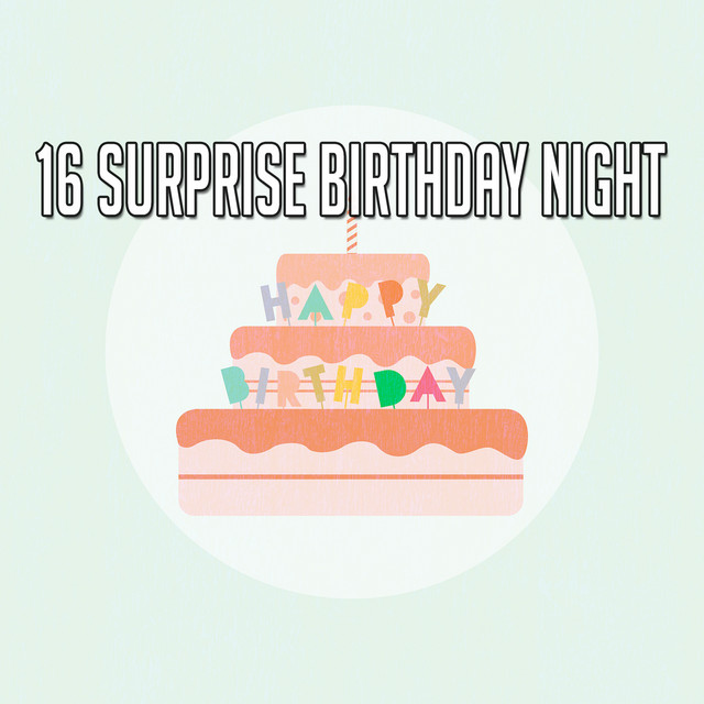 16 Surprise Birthday Night cover art