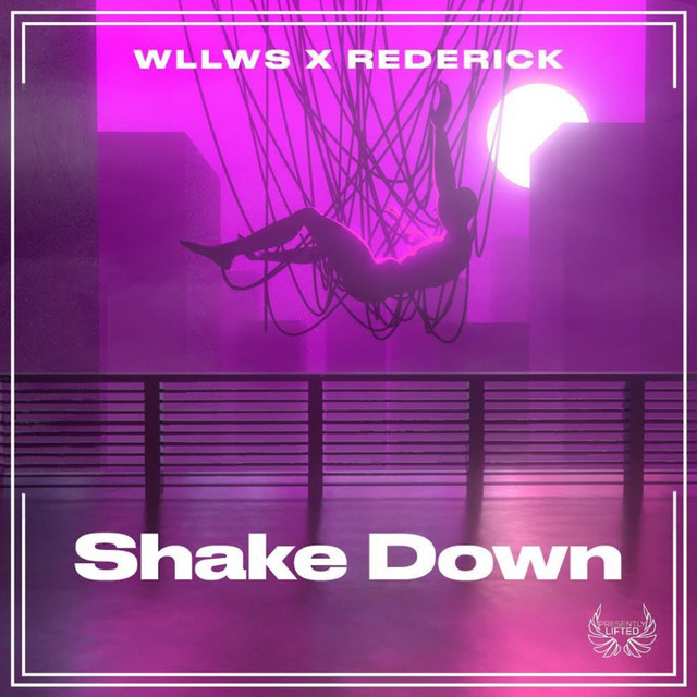 Shake Down cover art