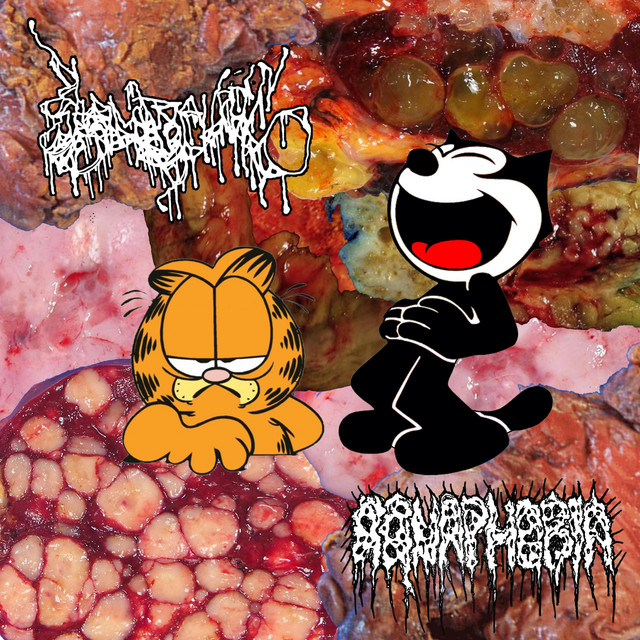 AQUAPHOBIC HEMORRHOIDS cover art