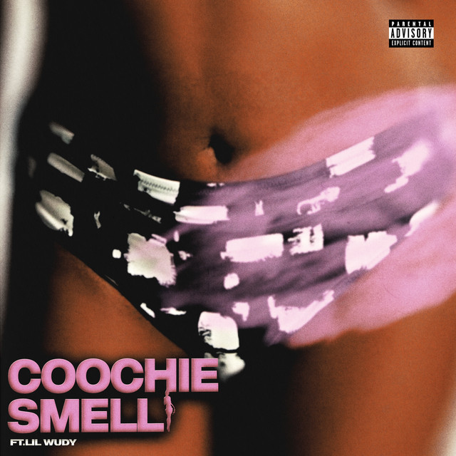 Coochie smell cover art