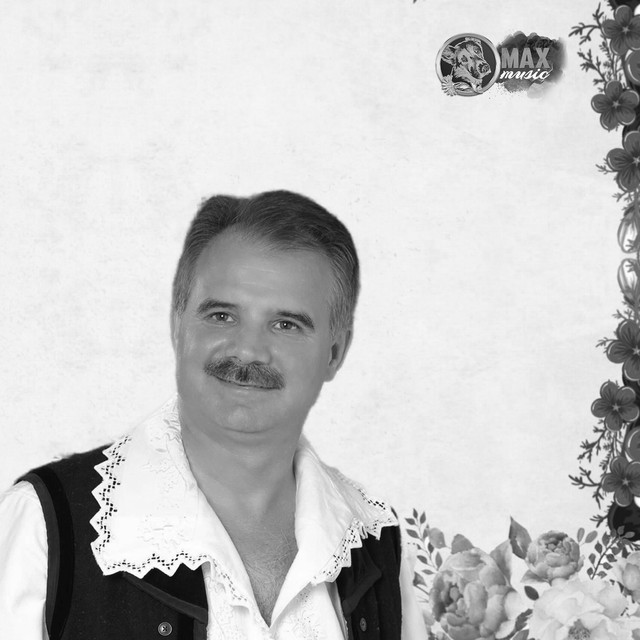 Petrecere in Banat, Vol. 1 cover art