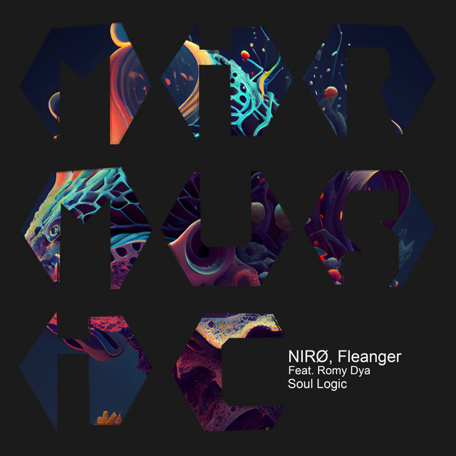 Обкладинка: Soul Logic - Eyal Rabia Remix — Fleanger