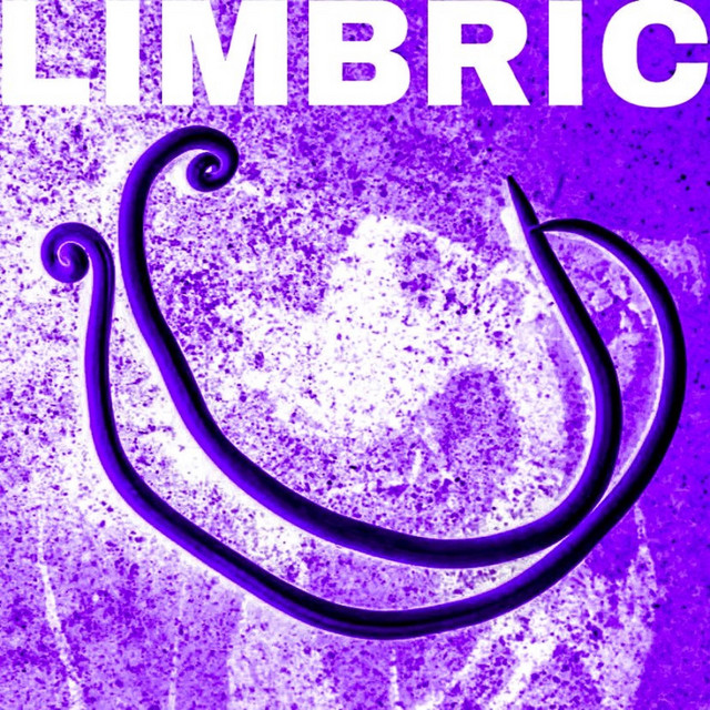Limbric cover art