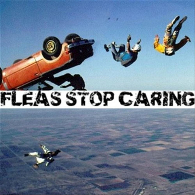 Fleas