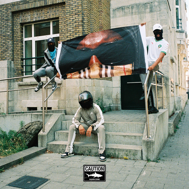 Runner cover art