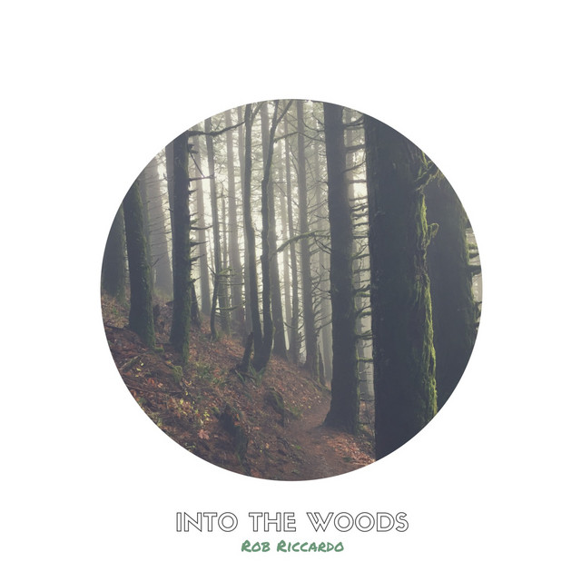Into the Woods - Single by Rob Riccardo | Spotify