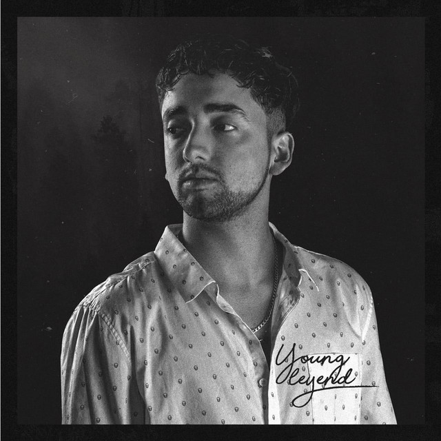 Young Leyend cover art