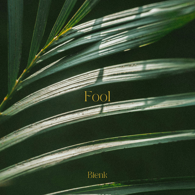 Fool cover art