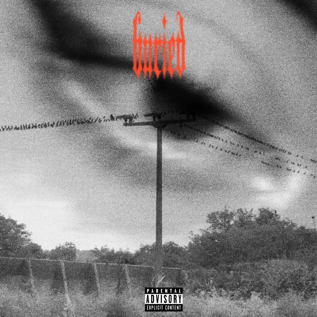 Bleed cover art