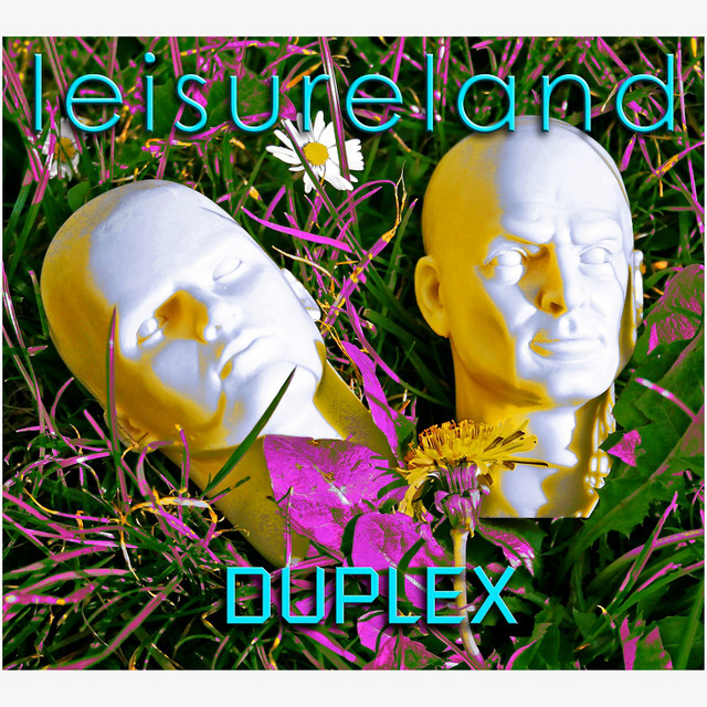 Duplex cover art