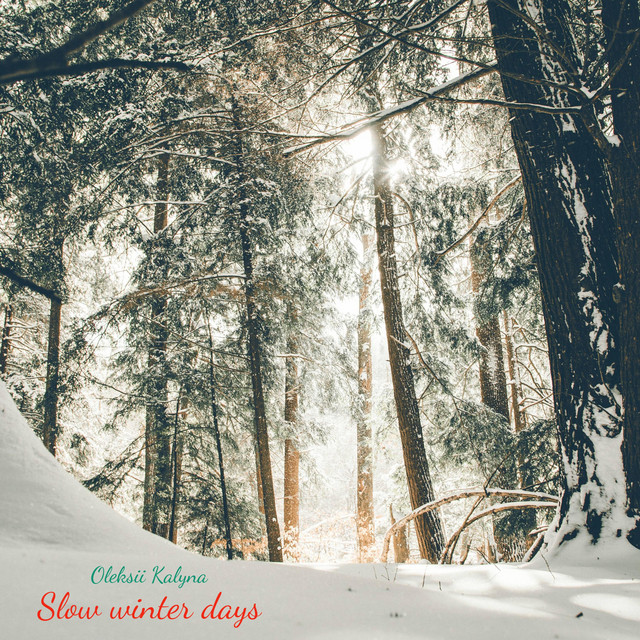 Обкладинка: Slow winter days — Oleksii Kalyna