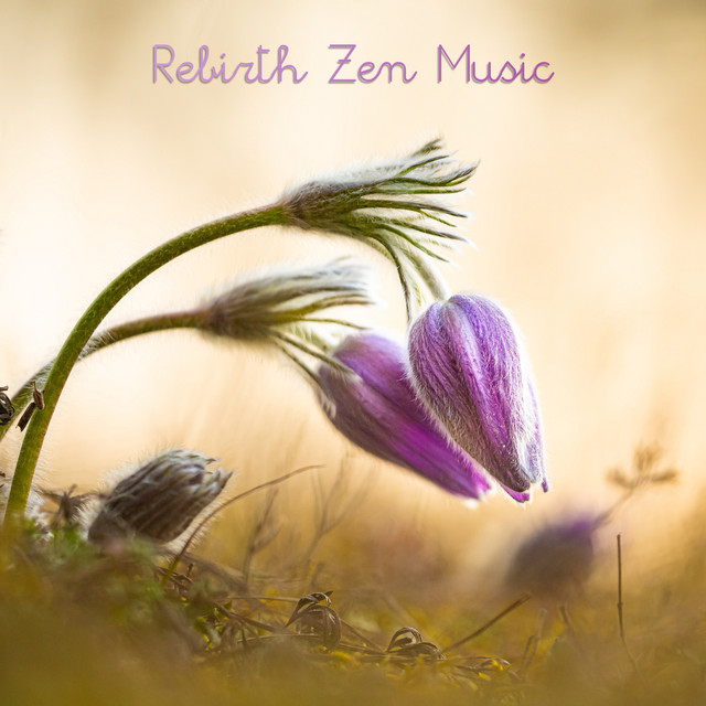 Rebirth Zen Music cover art