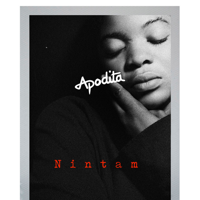 Nintam cover art