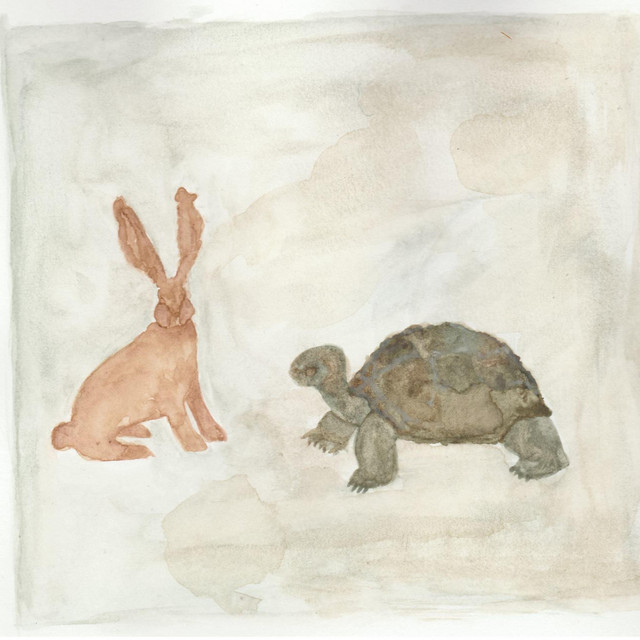 Tortoise, Hare cover