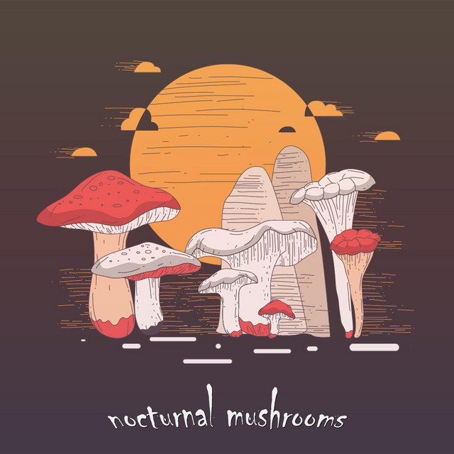 nocturnal mushrooms