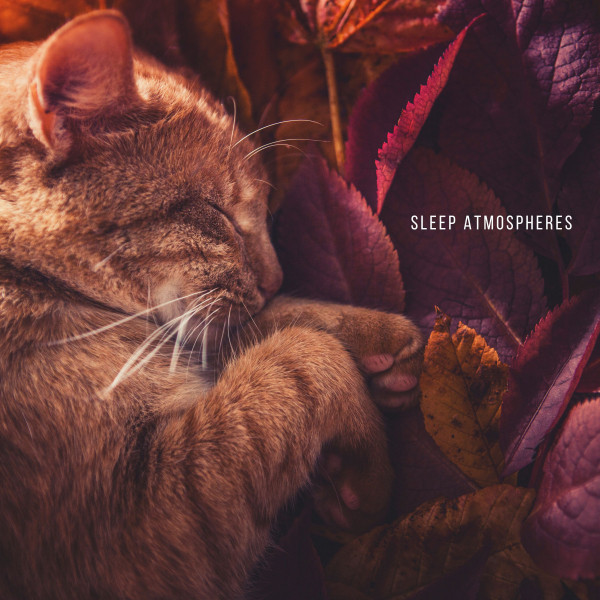 Sleep Atmospheres cover art