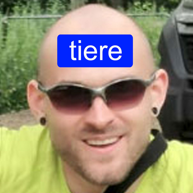 Tiere cover art