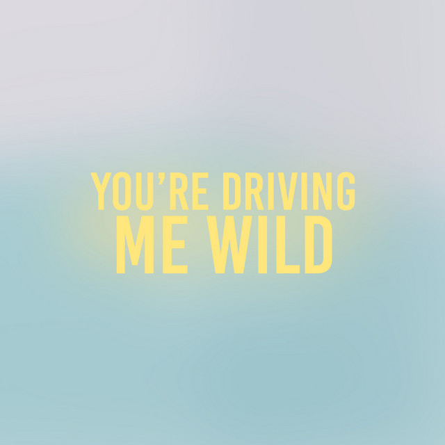 You're Driving Me Wild cover