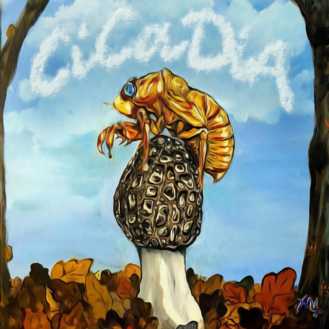 Cicadia cover art