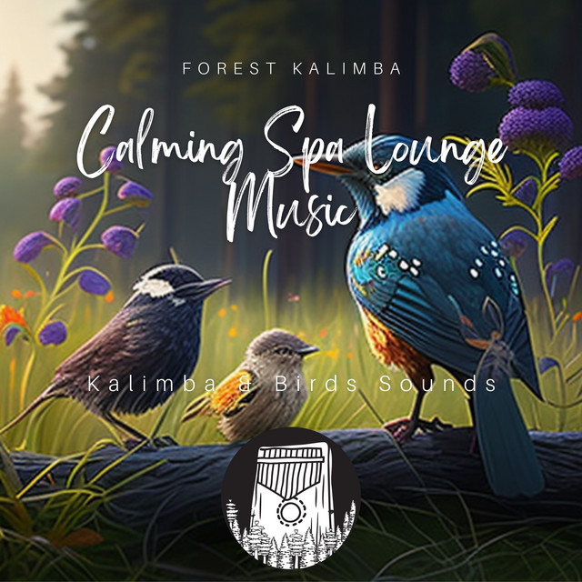 The Soothing Sounds of Slumber cover art