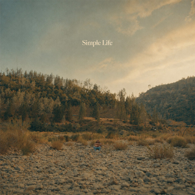 Simple Life cover