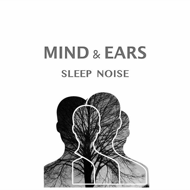 Sleep Noise cover art