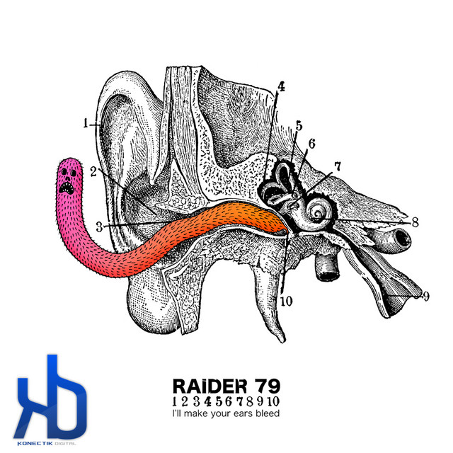 Raider 79
