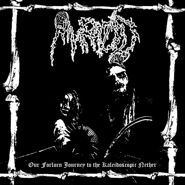 Our Forlorn Journey to the Kaleidoscopic Nether cover art