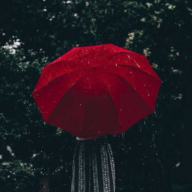 Kiss The Rain cover art