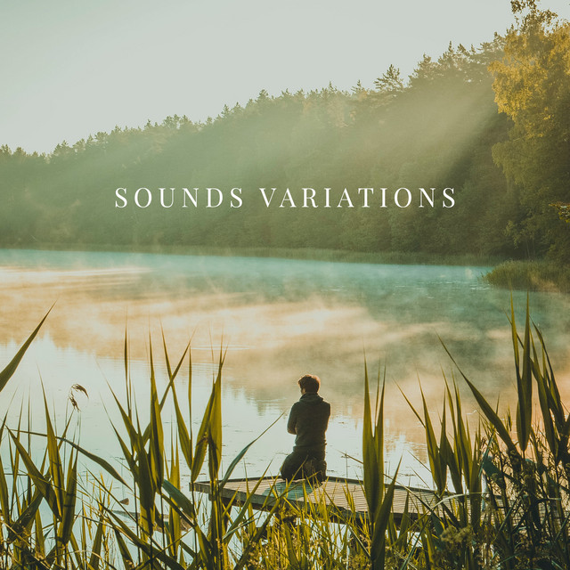Sounds Variations: Healing Tones, Calming Moments, Relaxing Ambient Nature Sounds, Turn off Your Mind cover art