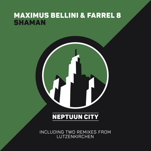 Shaman - Original Mix cover art