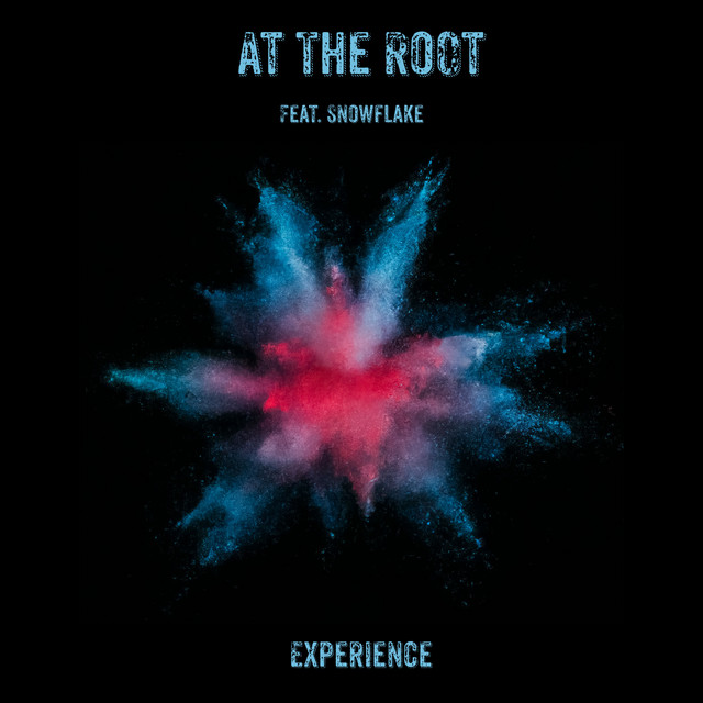 At The Root Experience (Remixes) cover art